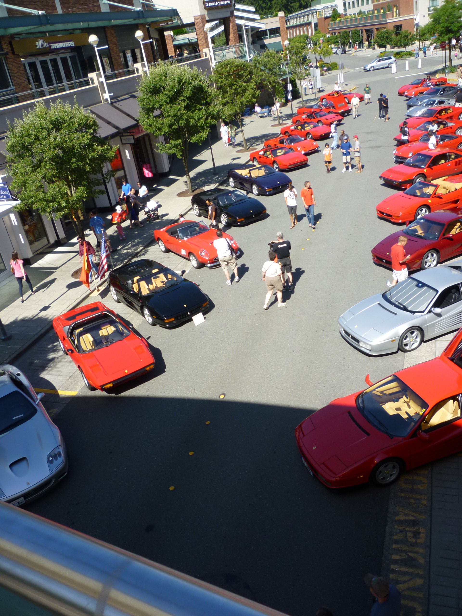 Exotics at Redmond Town Center